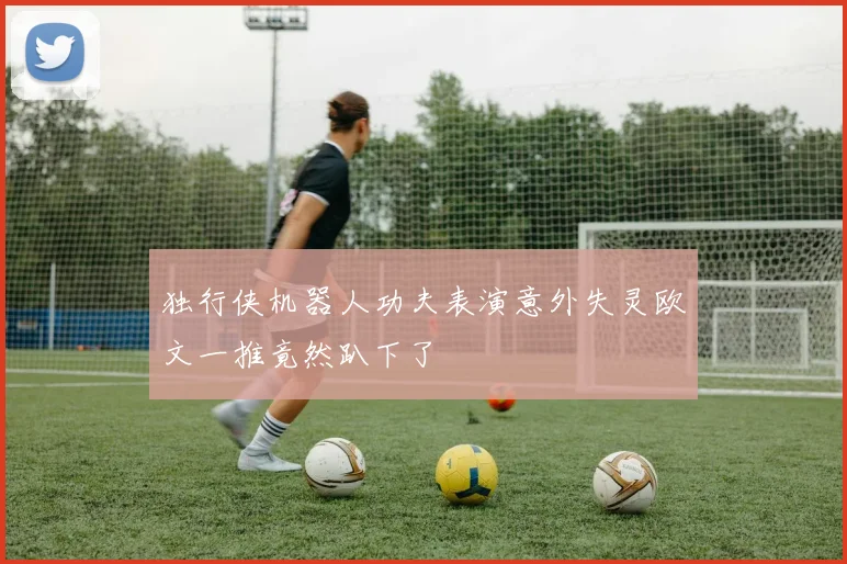 独行侠机器人功夫表演意外失灵欧文一推竟然趴下了